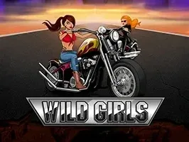 Wild Girls game screenshot